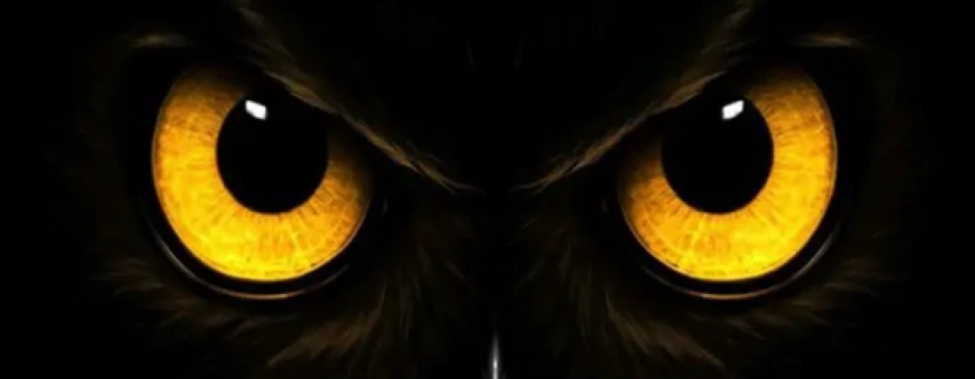 Cover photo