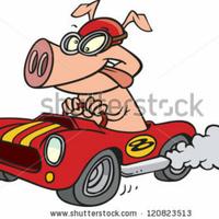 Racing_pig