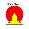 ExperienceSect