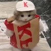 KFC_Cat