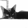 The_Lazy_Witch