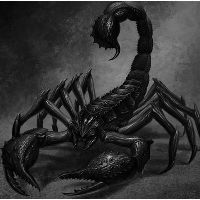 Scorpion_D