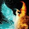 _the_ice_phoenix_