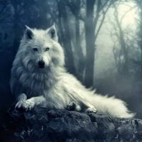 White_Wolf_1