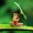 Lonefrog