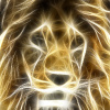 Lion1396