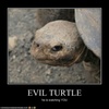 Evil_Turtle58