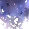 Purpleflys
