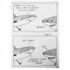 Lovelesscatfish