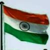 golu785