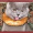 millerbagels