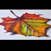 4ColoredLeaf