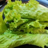 m1ssus_lettuce