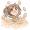 LucyyyThePotato