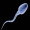 Sperm_Cell