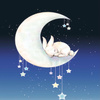 Starlight_Rabbit