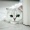 stark_aarya