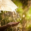 March_Rain