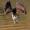 SpArr0w7