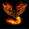 Phoenix_fire_1