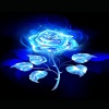 Baevida_17