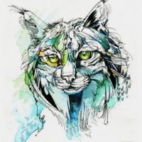 Lynx_Borealis