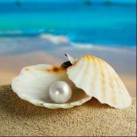 Hidden_pearl
