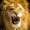keethu_3