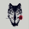 wolf_1
