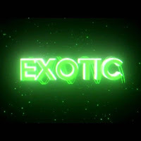 Exotic_Gamer21