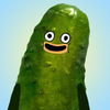 Average_Day_Pickle