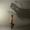 Henrys_Shadow