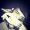 farraz_