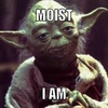 Moist_Yoda