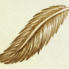 FeatherlyDuck