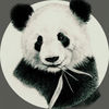 Monochrome_Panda