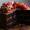 Vaishnavi_Boda