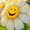 Pretty_Sunflower