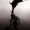 Daoist772957