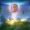 Patito_Fernandez