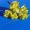 Amina_el_haitouti