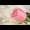 Margi_agustina
