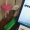 Yessyh_Hernandez