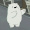 madel_44