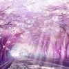 Sakura_Gaiden01