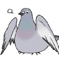 Obese_Pigeon