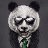 Panda_In_A_Suit