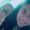 Daoist569451
