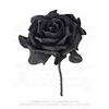 black_rose