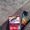 Ajmal_Bams